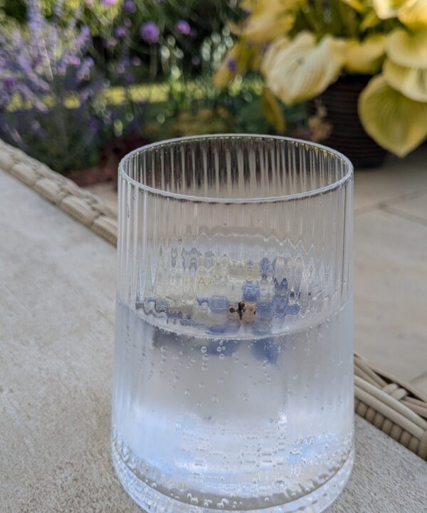Drink with edible flower ice cube