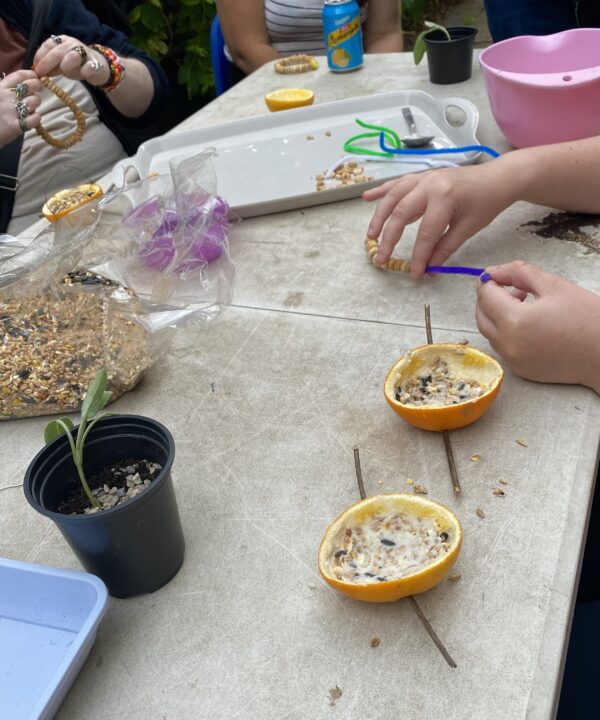 Midland mencap bird feeders