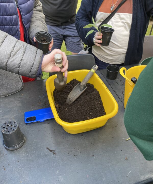 Midland mencap soil sift