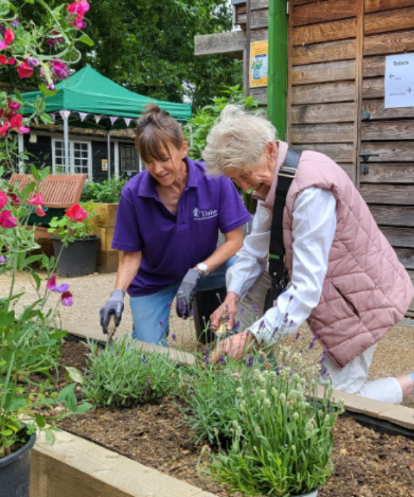 Sanctuary Garden Volunteer with client gardener planting rosemary