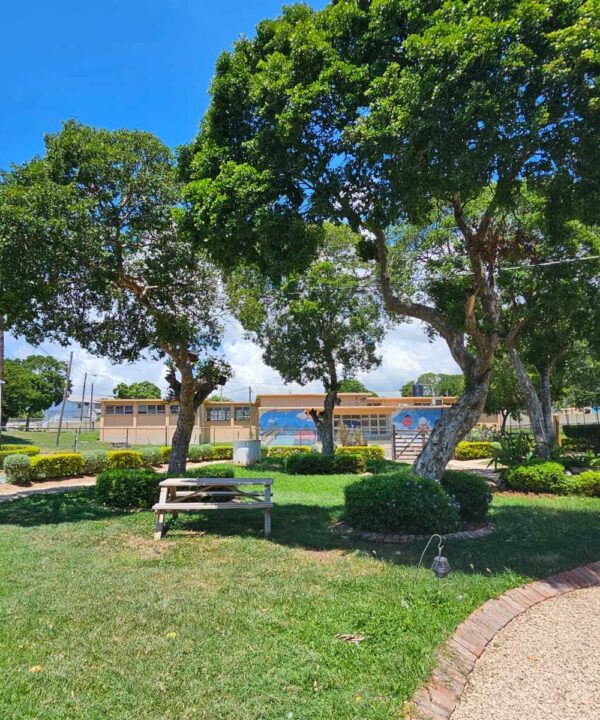 Seating at Oos Park Belle Vue Hospital Jamaica