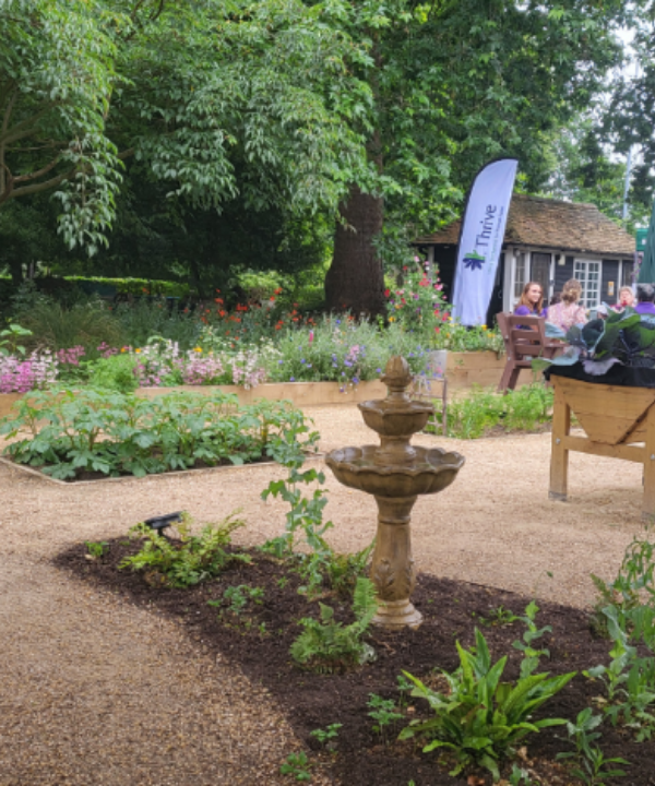 Thrive London Sanctuary Garden Paths and Raised Beds