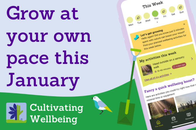 pop up banner thumbnail