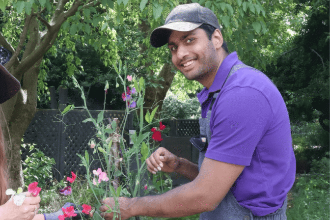 Client Gardener Arun with Sweet Peas