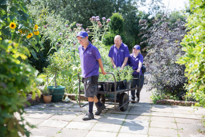Client gardeners teamwork 1