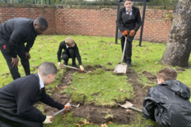 Superbloom Woolton High School 3