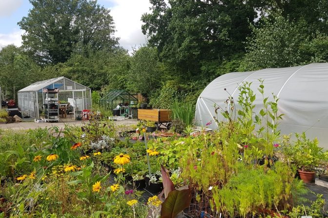 Thrive birmingham greenhouse