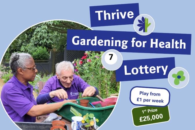 Website lottery image