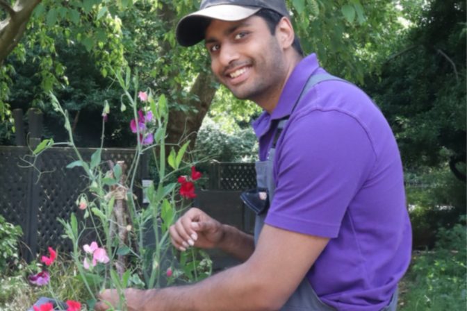 Arun thrive london sanctuary garden sweet peas 1