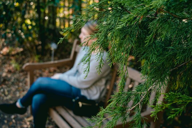 A person on a bench beside a conifer